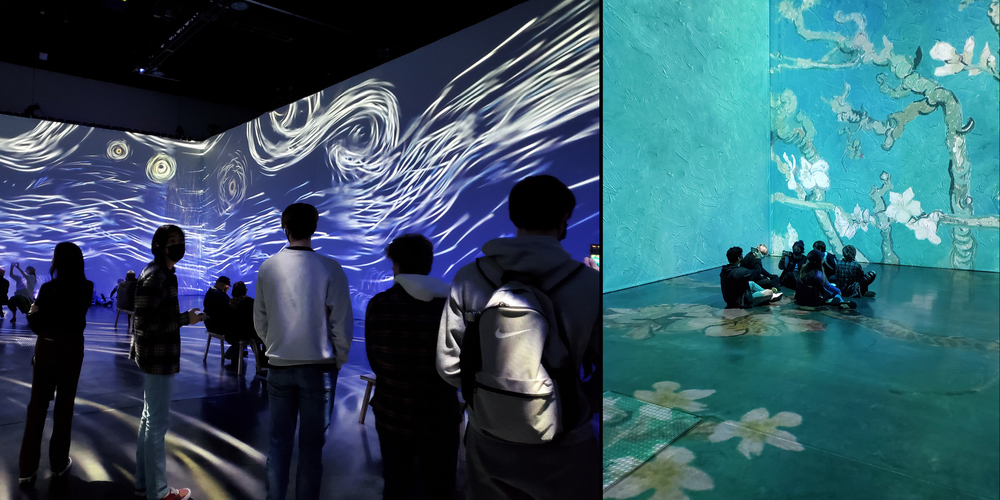 beyond van gogh