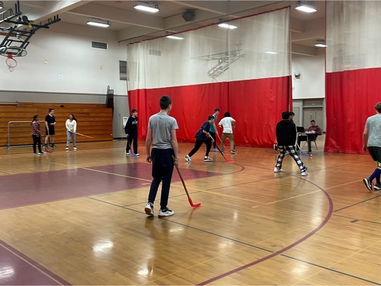 floor hockey